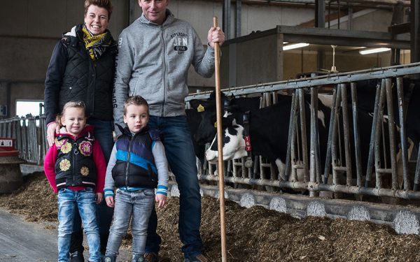 Ketelaars, Melkveehouderij