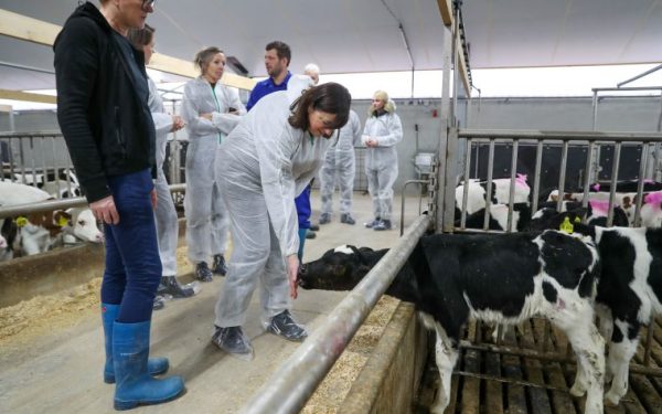 ‘Onze boeren hebben Nederweert gevormd’