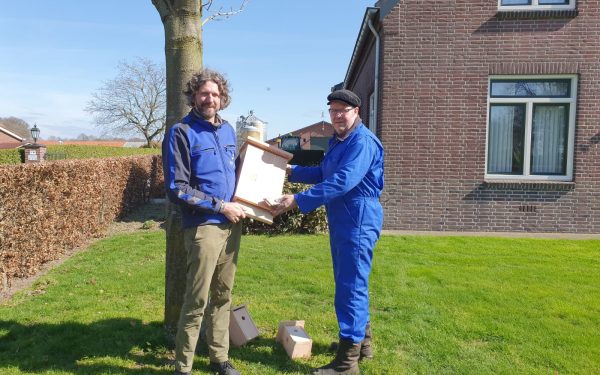 Nestkasten in de strijd tegen eikenprocessierups