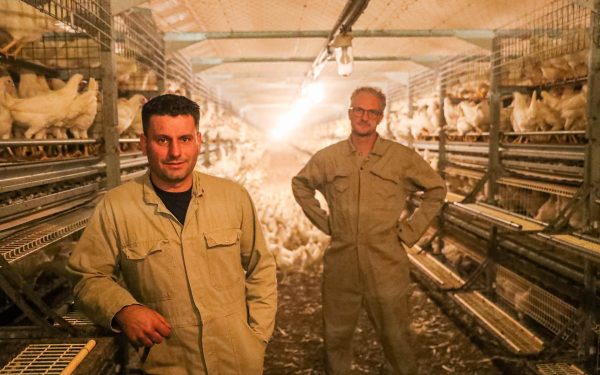 Niek: een boerenknecht uit duizenden