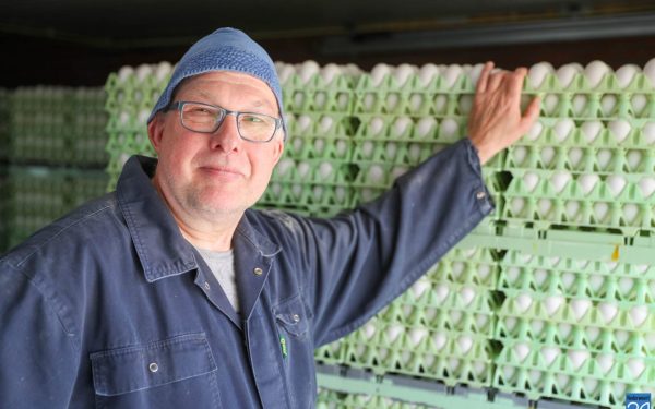 Gerben: ‘Tussen de kippen werken, geeft me rust’