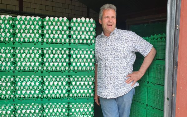 Salimans (Ton), Pluimveehouderij