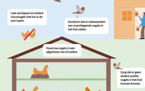 Houd hobbypluimvee binnen of scherm het buitenverblijf af