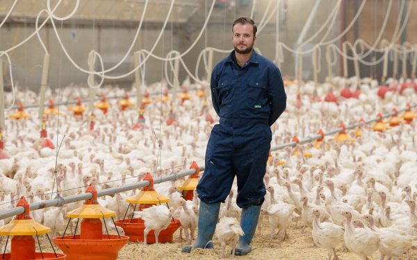 Raemakers, Kalkoenenhouderij